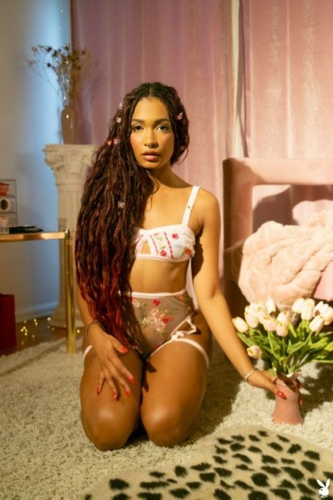 Cozy Place Starring Addis Fouche 8